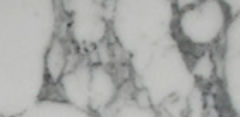 bianco arabescato 1.jpg