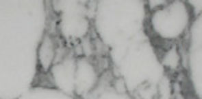 bianco arabescato 1.jpg
