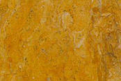 giallo_reale.jpg