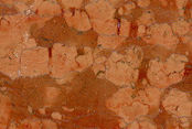 ROSSO_VERONA.jpg