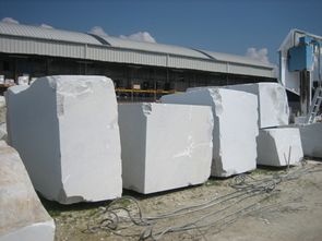 white carrara 011.jpg