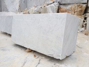 BIANCO CARRARA EXTRA        IMG_0090_2.jpg